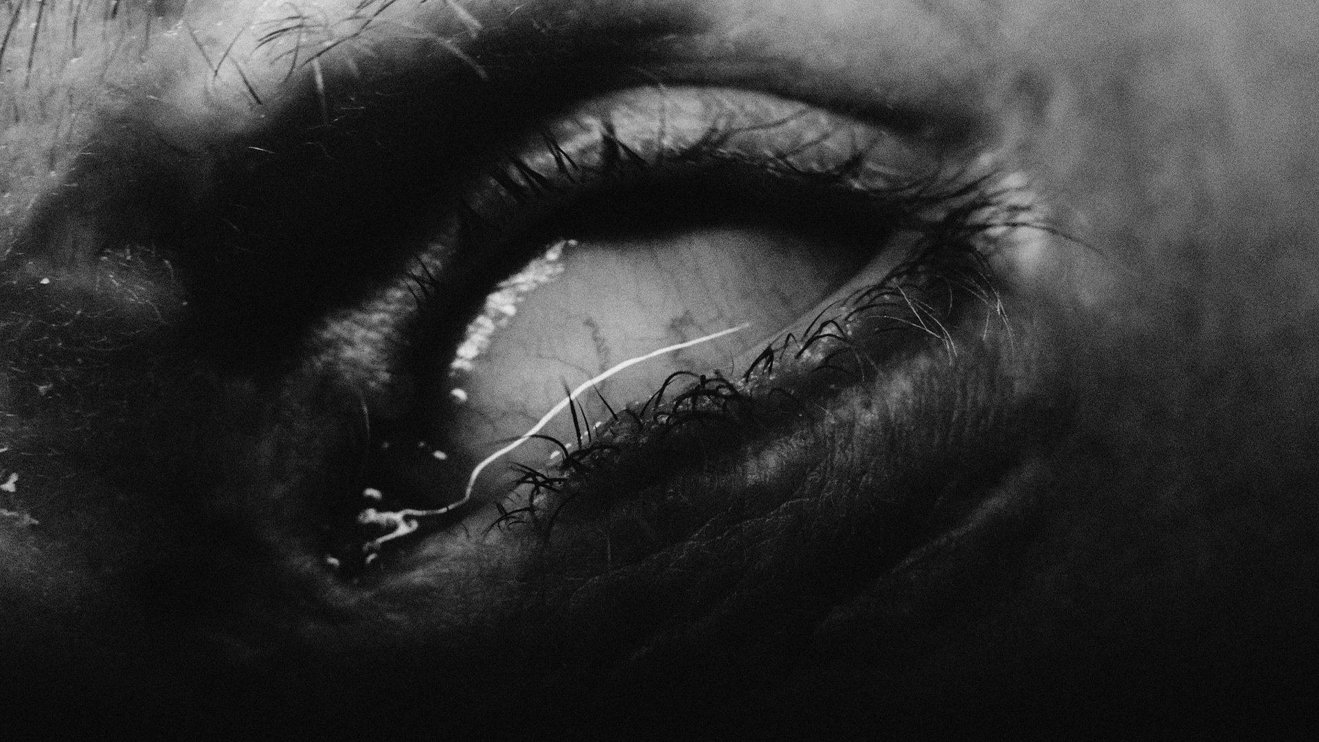 Cinematic background from Apparat - Heroist 2019 - null