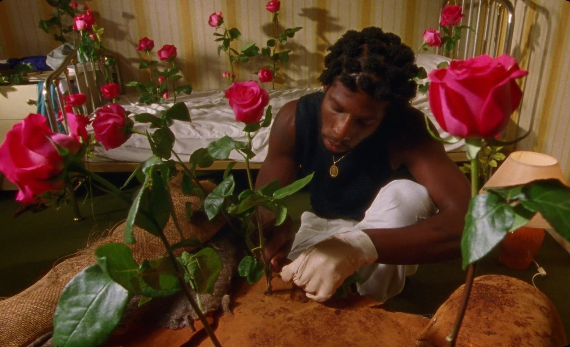 Cinematic background from Dune & Crayon feat. Ichon - Pointless 2020 - null