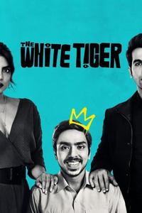 Official poster of The White Tiger 2021 directed by [object Object]