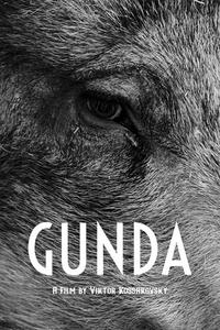 Official poster of Gunda 2020 directed by Victor Kossakovsky