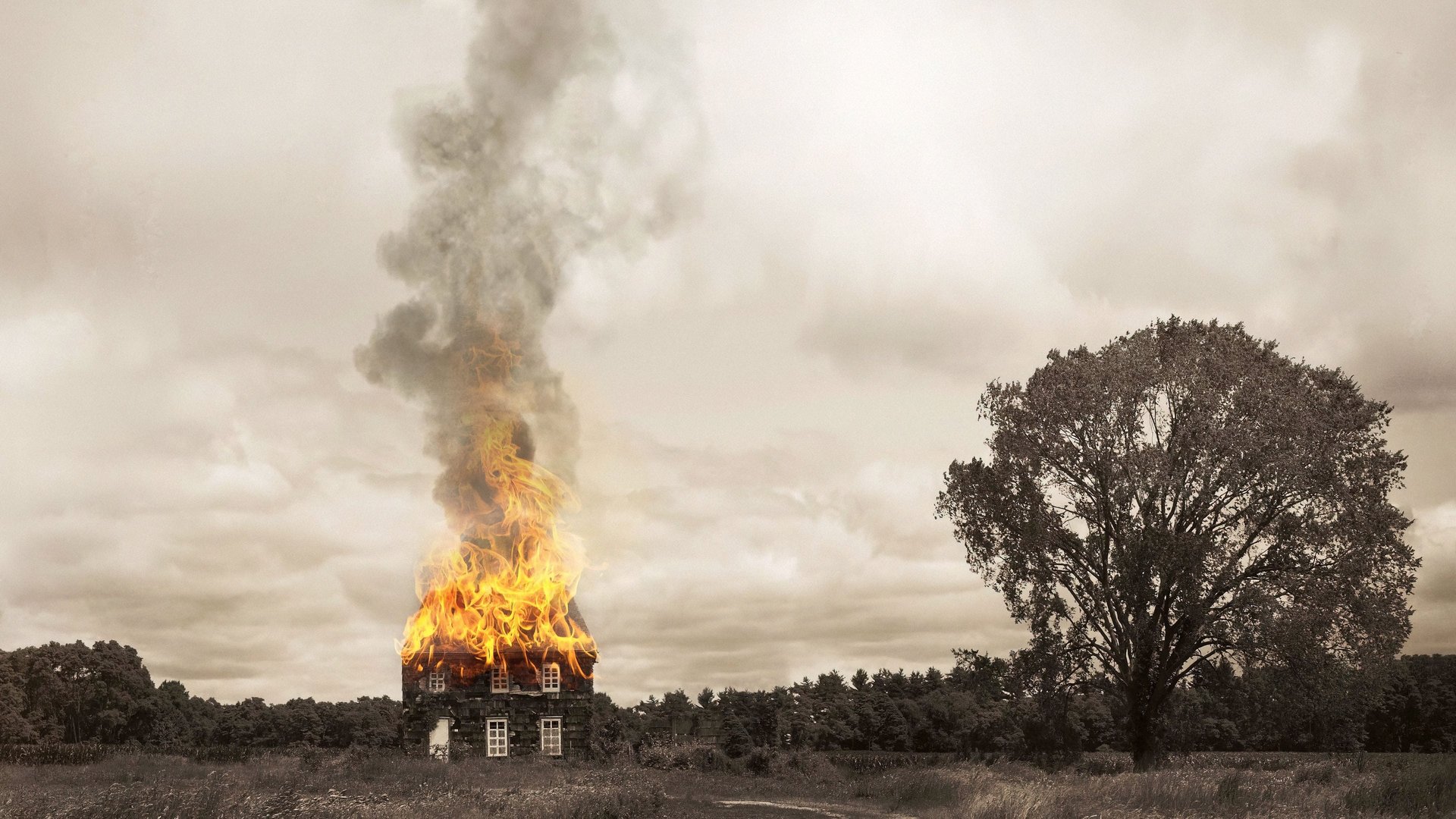 Cinematic background from American Pastoral 2016 - Set in postwar America, a man watches his seemingly perfect life fall apart as his daughter's new political affiliation threatens to destroy their family.