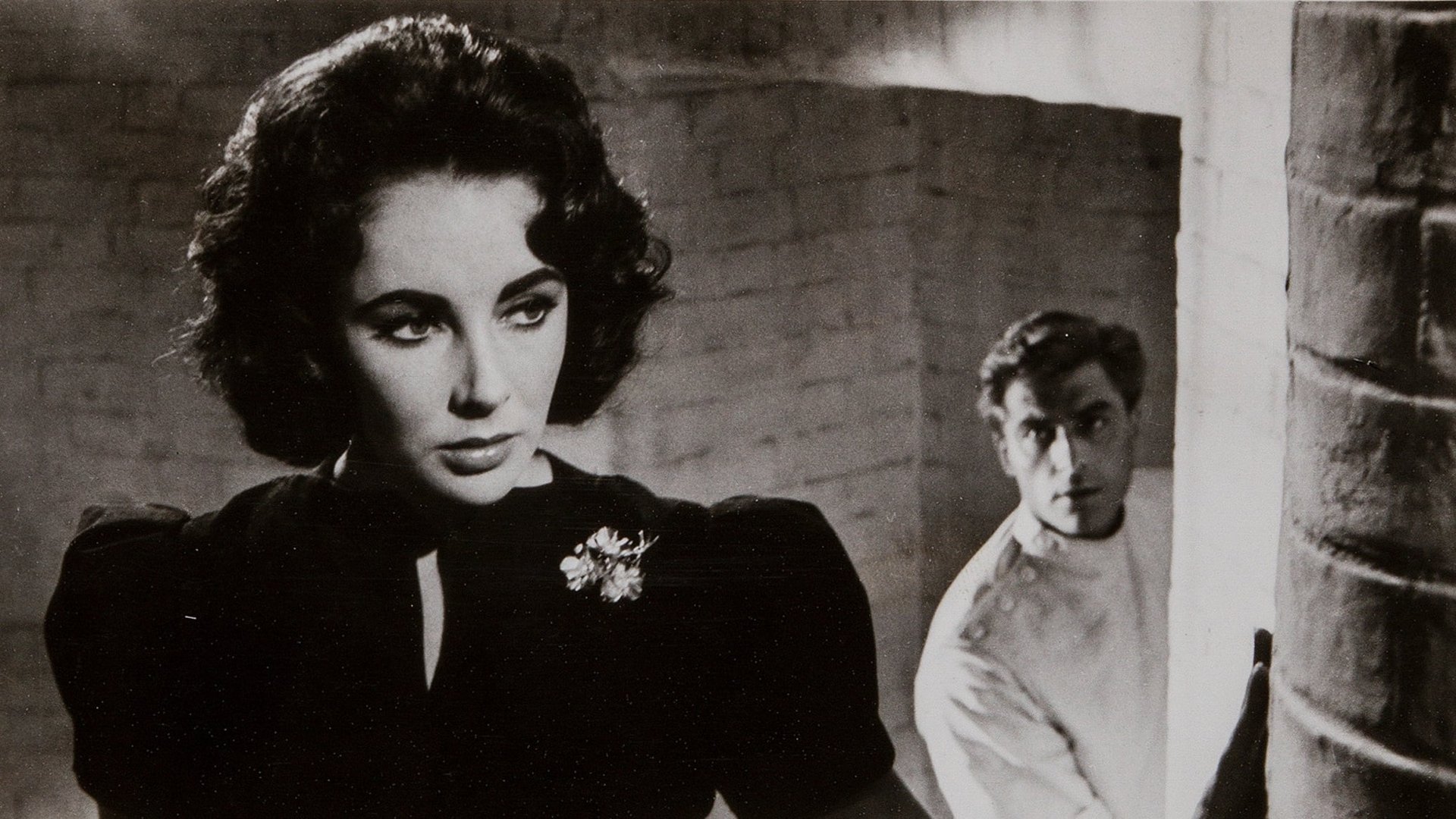 Cinematic background from Suddenly, Last Summer 1959 - The only son of wealthy widow Violet Venable dies while on vacation with his cousin Catherine. What the girl saw was so horrible that she went insane; now Mrs. Venable wants Catherine lobotomized to cover up the truth.