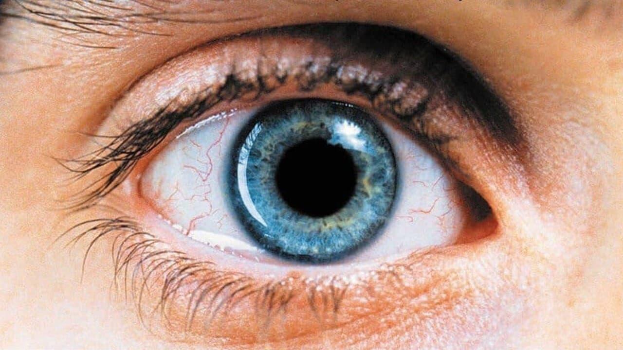 Cinematic background from Requiem for a Dream 2000 - The hopes and dreams of four ambitious people are shattered when their drug addictions begin spiraling out of control. A look into addiction and how it overcomes the mind and body.