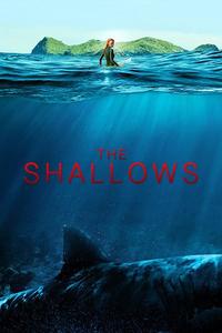 Official poster of The Shallows 2016 directed by [object Object]