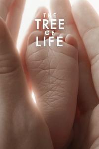 Official poster of The Tree of Life 2011 directed by [object Object]