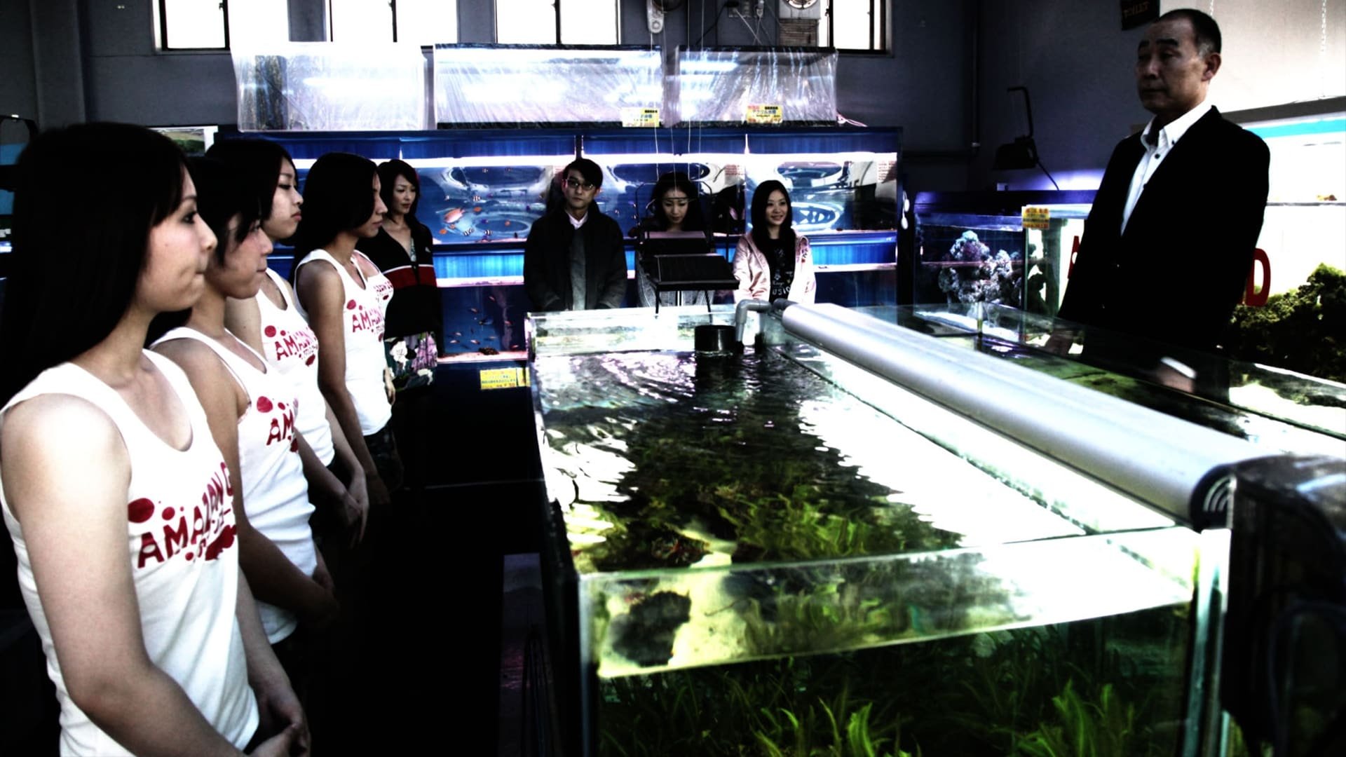 Cinematic background from Cold Fish 2010 - Shamoto runs a small tropical fish shop. When his daughter Mitsuko is caught shoplifting at a grocery store a man named Murata steps in to settle things between the girl and the store manager. Murata also runs a tropical fish shop and he and Shamoto soon become friendly. However Murata hides many dark secrets behind his friendly face.
