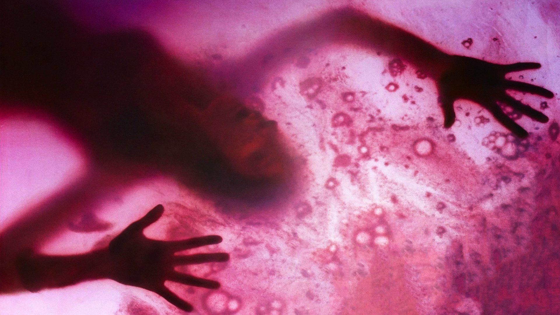 Cinematic background from The Blob 1988 - In Arborville, California, three high school students try to protect their hometown from a gelatinous alien life form that engulfs everything it touches. The first to discover the substance and live to tell about it, the trio witness the Blob destroying an elderly man, then it growing to a terrifying size. But no one else has seen the goo, and the police refuse to believe the kids without proof.