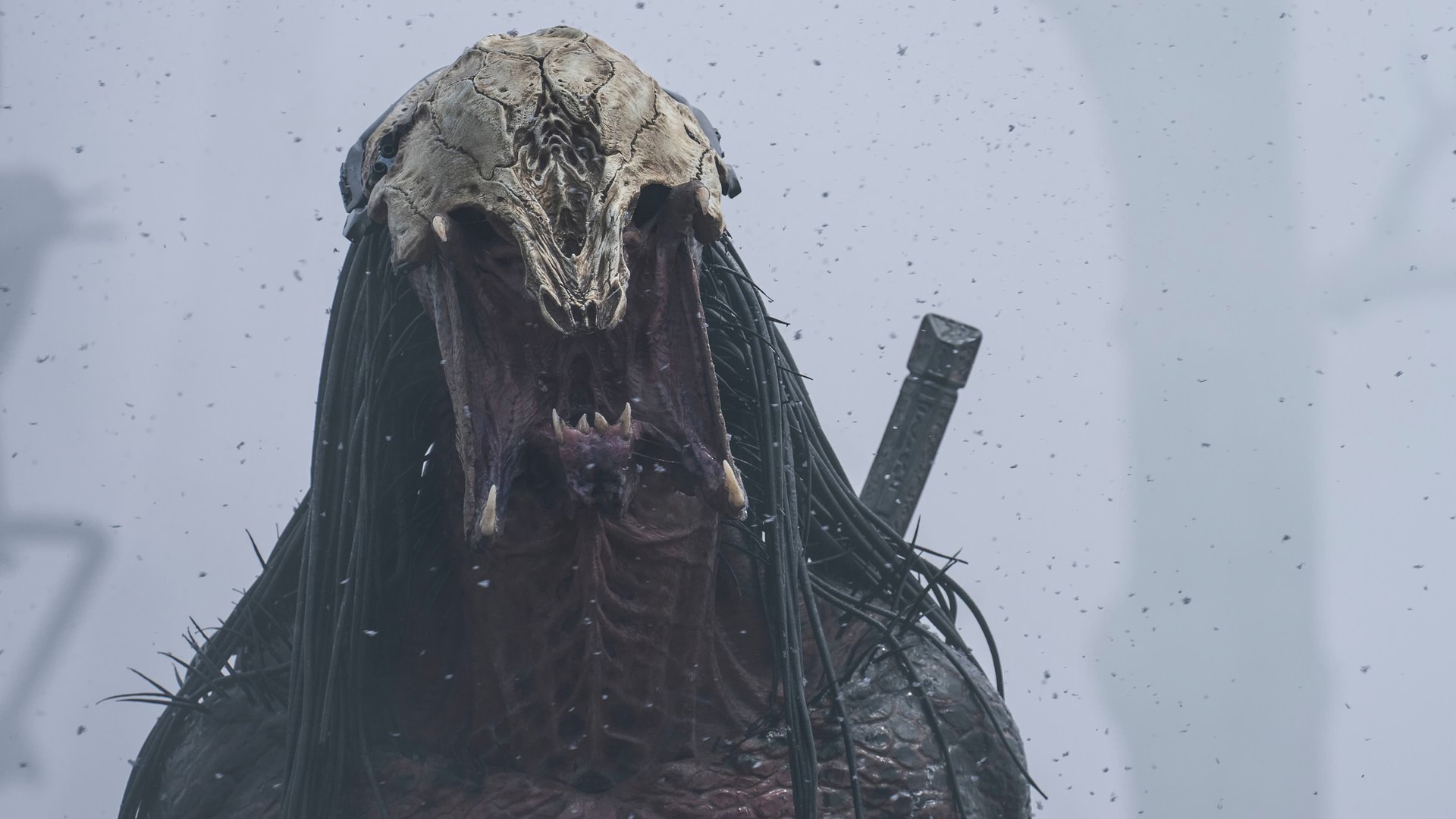 Cinematic background from Prey 2022 - When danger threatens her camp, the fierce and highly skilled Comanche warrior Naru sets out to protect her people. But the prey she stalks turns out to be a highly evolved alien predator with a technically advanced arsenal.
