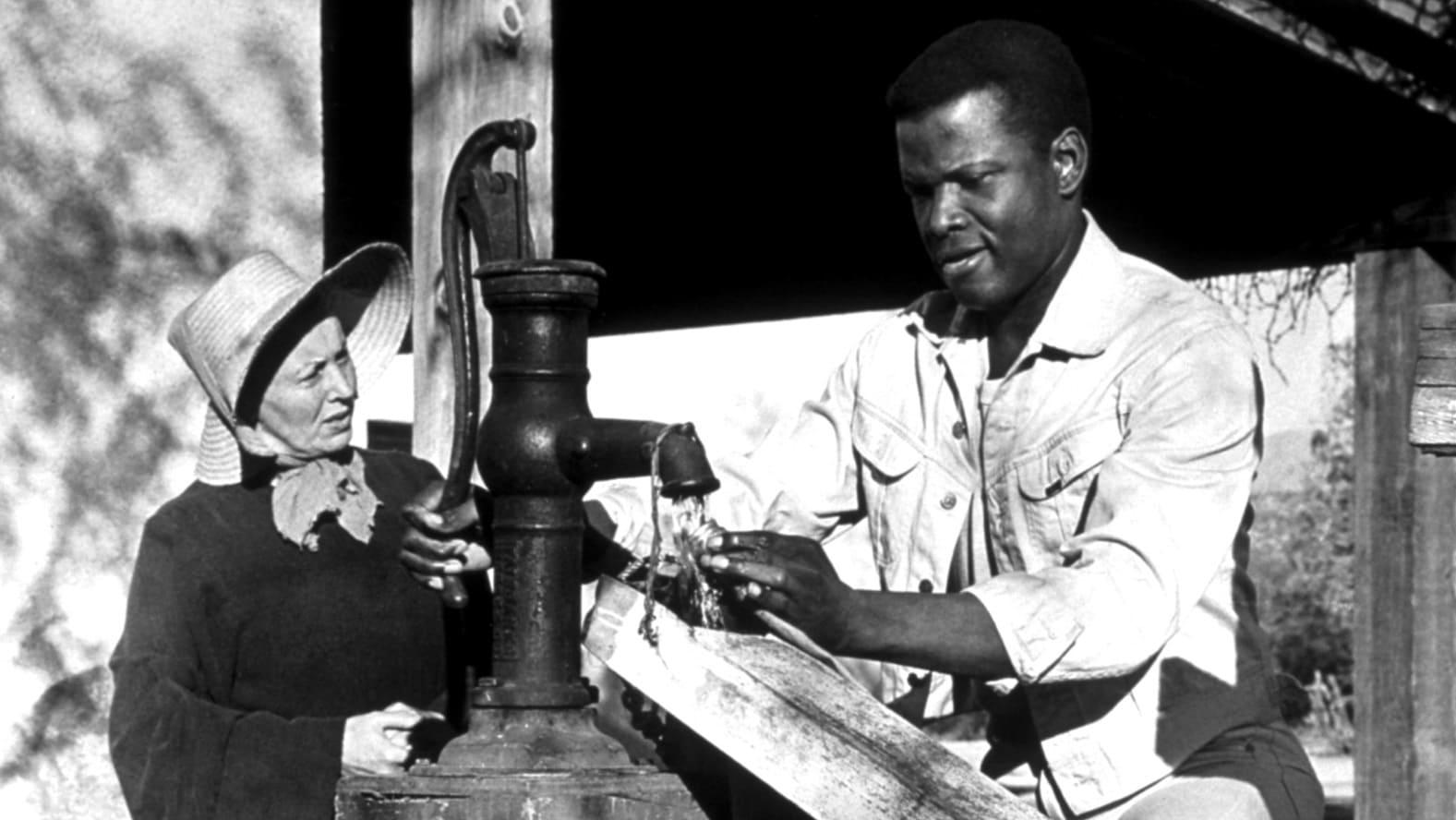 Cinematic background from Lilies of the Field 1963 - An unemployed construction worker heading out west stops at a remote farm in the desert to get water when his car overheats. The farm is being worked by a group of East European Catholic nuns, headed by the strict mother superior, who believes the man has been sent by God to build a much needed church in the desert.