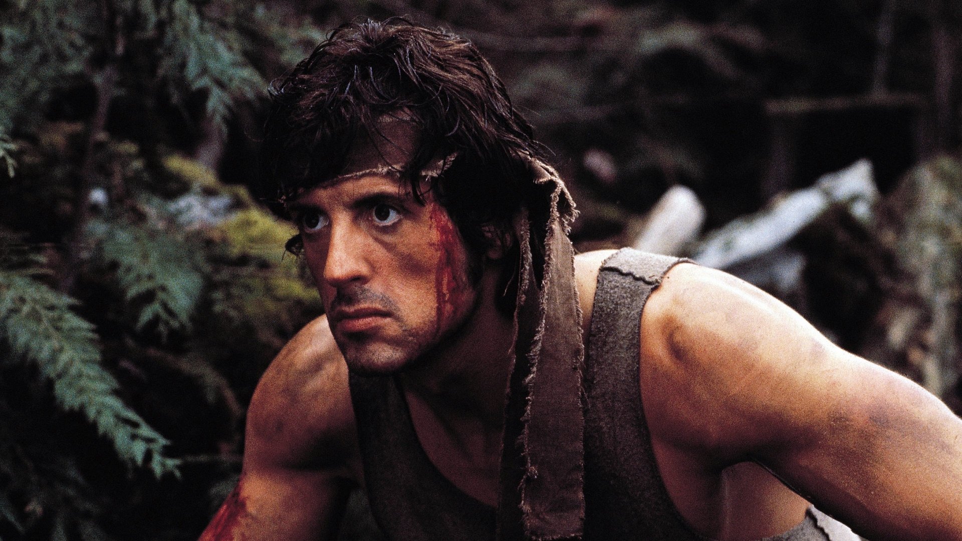 Cinematic background from First Blood 1982 - When former Green Beret John Rambo is harassed by local law enforcement and arrested for vagrancy, he is forced to flee into the mountains and wage an escalating one-man war against his pursuers.