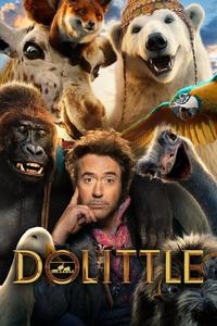 Official poster of Dolittle 2020 directed by [object Object]