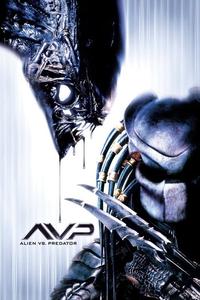 Official poster of Alien vs. Predator 2004 directed by [object Object]
