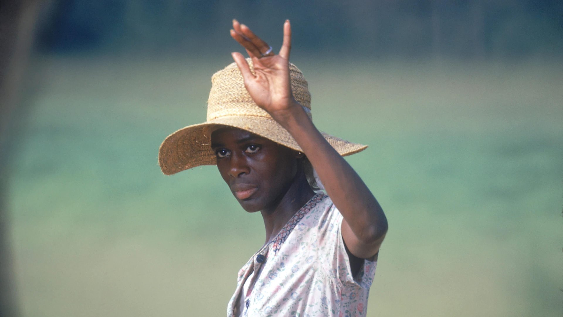 Cinematic background from Sounder 1972 - The oldest son of a loving and strong family of black sharecroppers comes of age in the Depression-era South after his father is imprisoned for stealing food.