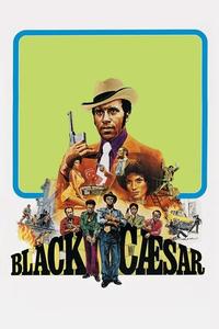 Official poster of Black Caesar 1973 directed by [object Object]