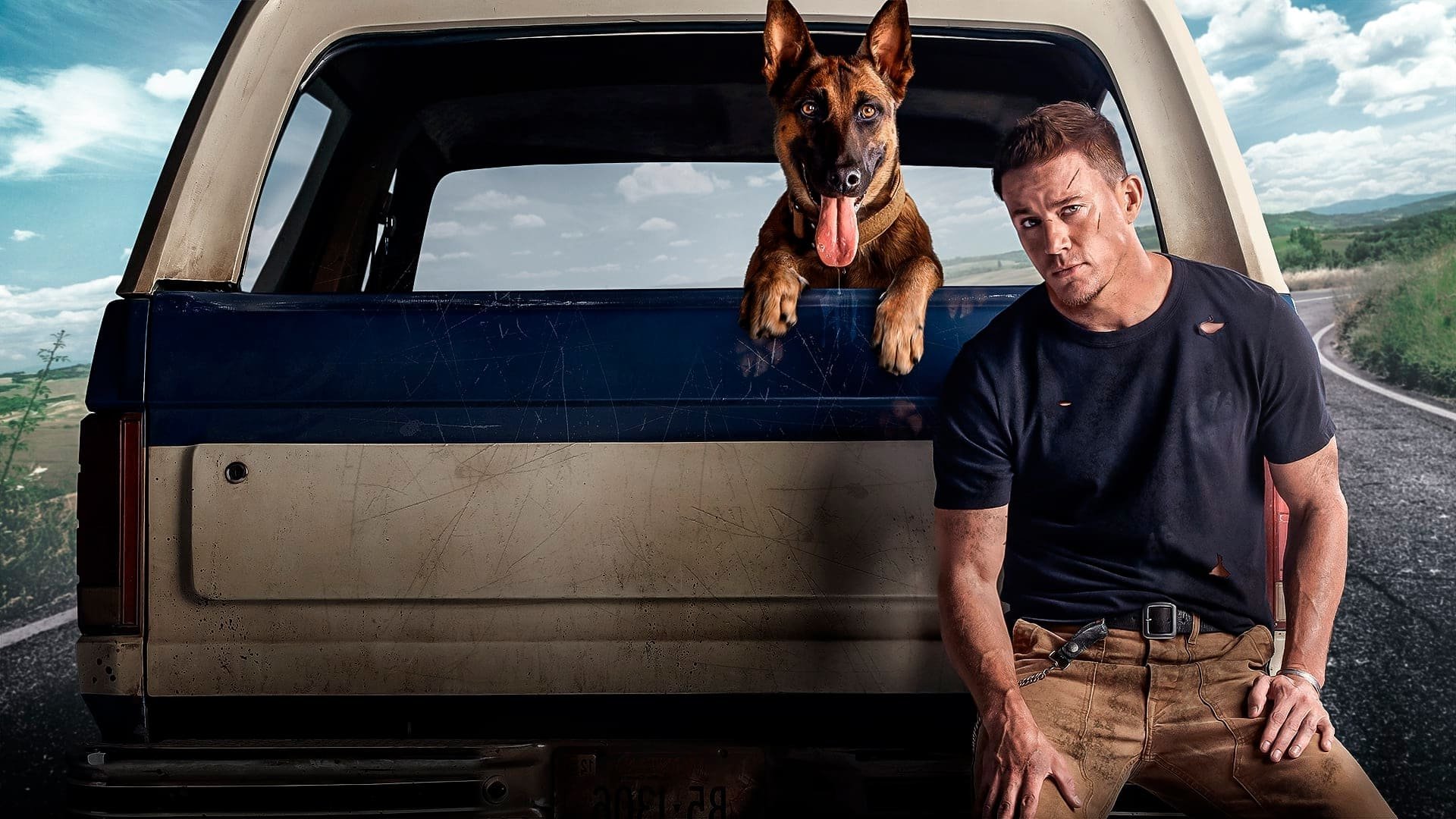 Cinematic background from Dog 2022 - An army ranger and his dog embark on a road trip along the Pacific Coast Highway to attend a friend's funeral.