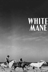 Official poster of White Mane 1953 directed by [object Object]