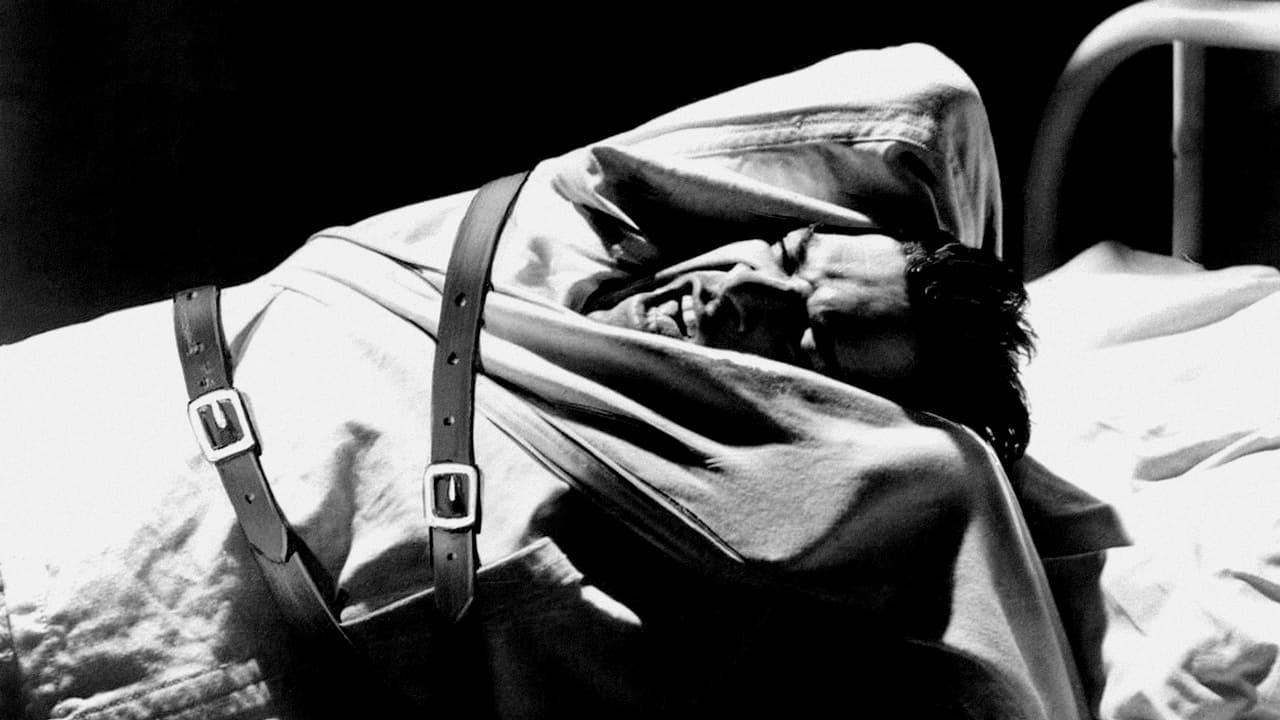 Cinematic background from Shock Corridor 1963 - With the help of his girlfriend Cathy and Dr. Fong, a psychiatrist, ambitious journalist Johnny Barrett poses as a madman in order to be admitted to a mental institution where a bloody murder has been committed.