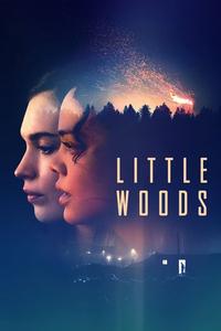 Official poster of Little Woods 2018 directed by [object Object]