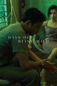 Official poster of Days of Being Wild 1990 directed by [object Object]