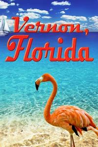 Official poster of Vernon, Florida 1981 directed by [object Object]