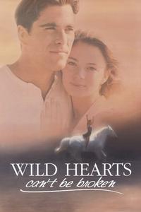 Official poster of Wild Hearts Can't Be Broken 1991 directed by [object Object]