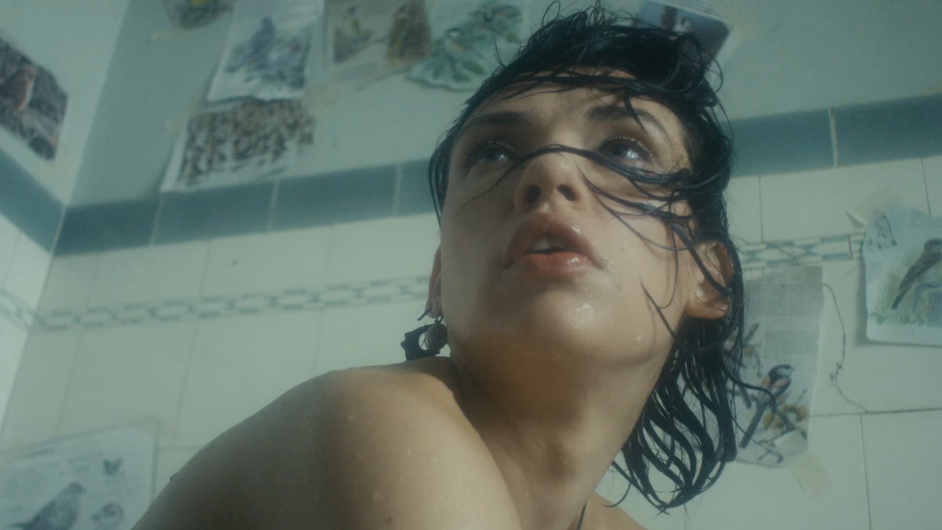 Cinematic background from Bicep - Aura 2017 - null