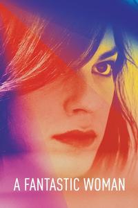 Official poster of A Fantastic Woman 2017 directed by [object Object]