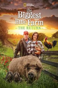 Official poster of The Biggest Little Farm: The Return 2022 directed by [object Object]