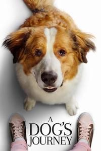 Official poster of A Dog's Journey 2019 directed by [object Object]