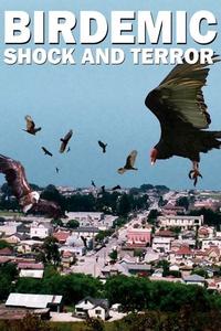 Official poster of Birdemic: Shock and Terror 2010 directed by James Nguyen