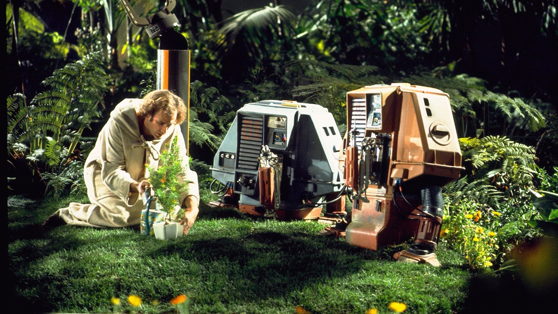Cinematic background from Silent Running 1972 - In a future Earth barren of all flora and fauna, the planet's ecosystems exist only in large pods attached to spacecraft. When word comes in that the pods are to be jettisoned into space and destroyed so that the spacecraft can be reused for commercial purposes, most of the crew of the Valley Forge rejoice at the prospect of going home. Not so for botanist Freeman Lowell who loves the forest and its creatures, so decides to take matters into his own hands to protect what he loves.
