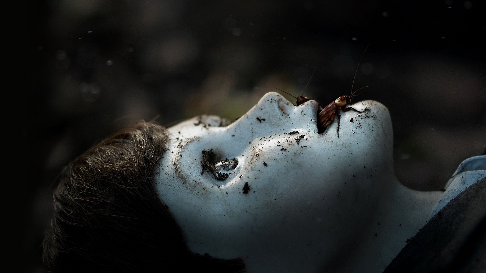 Cinematic background from Brahms: The Boy II 2020 - After a family moves into the Heelshire Mansion, their young son soon makes friends with a life-like doll called Brahms.