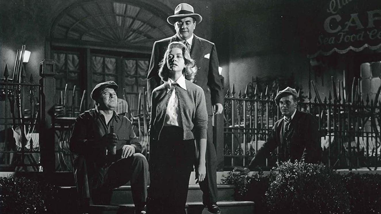 Cinematic background from The Tarnished Angels 1957 - In the 1930s, once-great World War I pilot Roger Shumann performs as a daredevil barnstorming pilot at aerial stunt shows while his wife, LaVerne, works as a parachutist. When newspaper reporter Burke Devlin arrives to do a story on the Shumanns’ act, he quickly falls in love with the beautiful--and neglected--LaVerne.