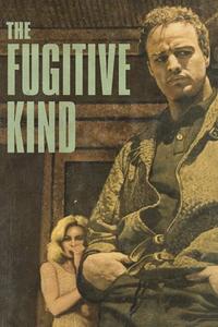 Official poster of The Fugitive Kind 1960 directed by [object Object]