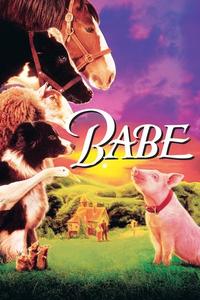 Official poster of Babe 1995 directed by [object Object]