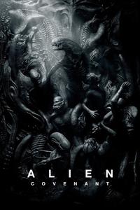 Official poster of Alien: Covenant 2017 directed by [object Object]