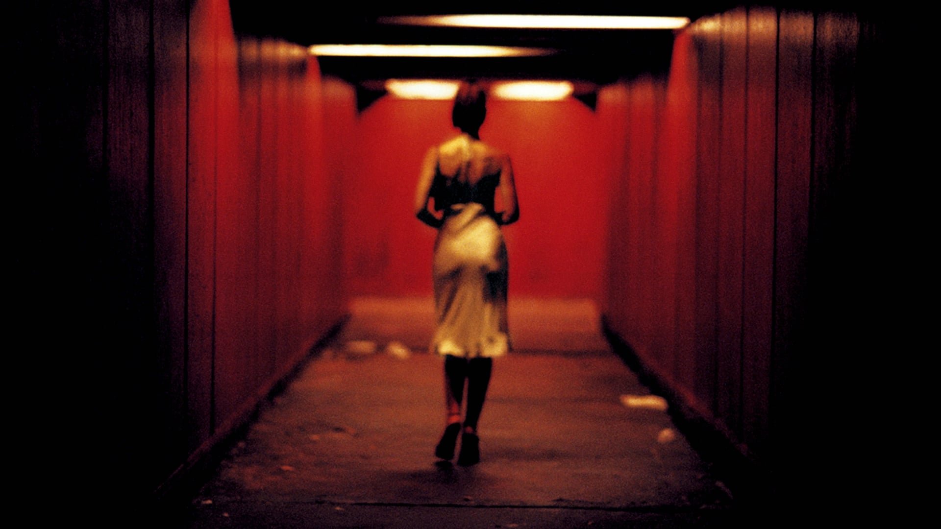 Cinematic background from Irreversible 2002 - A woman’s lover and her ex-boyfriend take justice into their own hands after she becomes the victim of a rapist. Because some acts can’t be undone. Because man is an animal. Because the desire for vengeance is a natural impulse. Because most crimes remain unpunished.