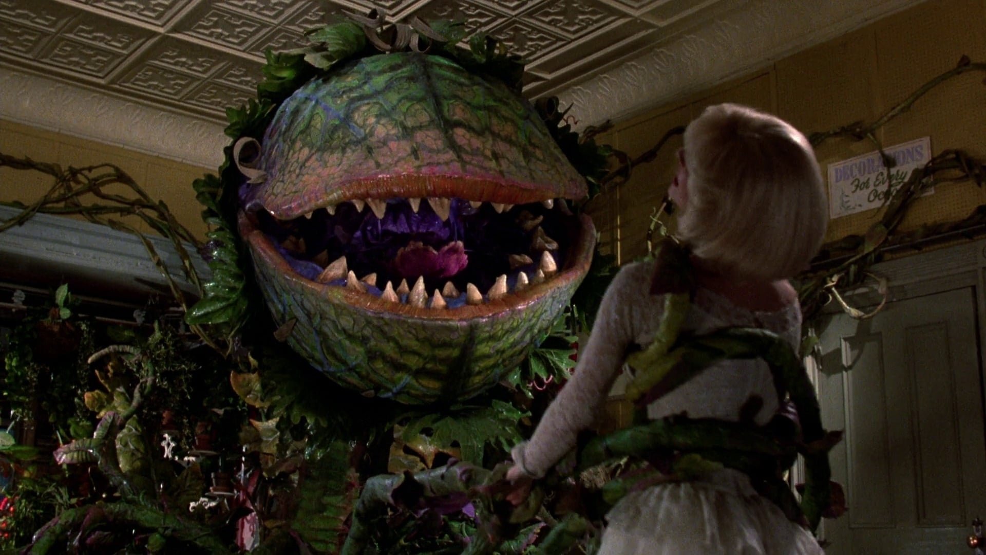 Cinematic background from Little Shop of Horrors 1986 - Seymour Krelborn is a nerdy orphan working at Mushnik's, a flower shop in urban Skid Row. He harbors a crush on fellow co-worker Audrey Fulquard, and is berated by Mr. Mushnik daily. One day Seymour finds a very mysterious unidentified plant which he calls Audrey II. The plant seems to have a craving for blood and soon begins to sing for his supper.