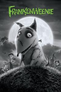 Official poster of Frankenweenie 2012 directed by [object Object]
