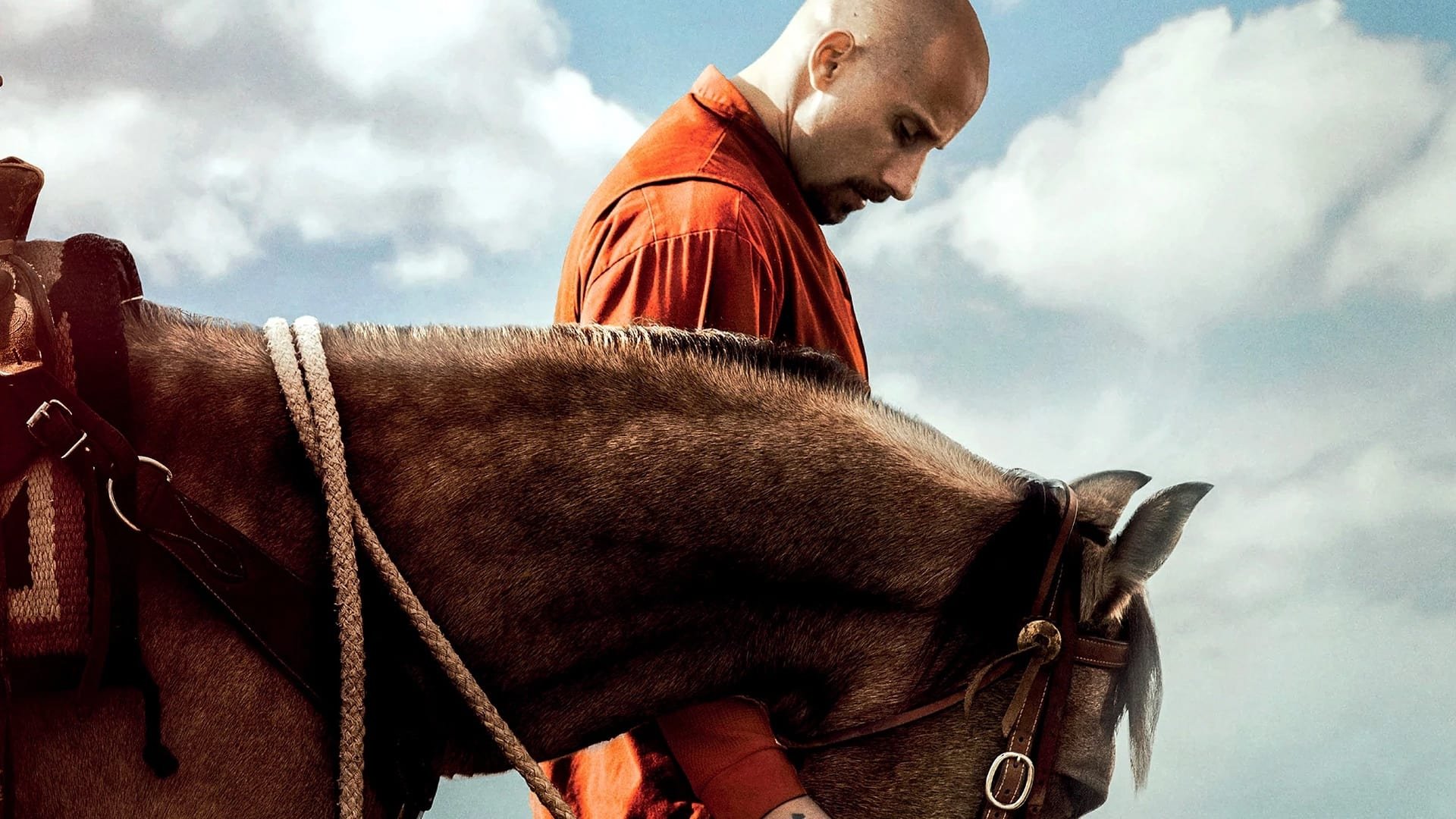 Cinematic background from The Mustang 2019 - While participating in a rehabilitation program training wild mustangs, a convict at first struggles to connect with the horses and his fellow inmates, but he learns to confront his violent past as he soothes an especially feisty horse.