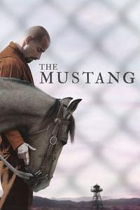 Official poster of The Mustang 2019 directed by [object Object]
