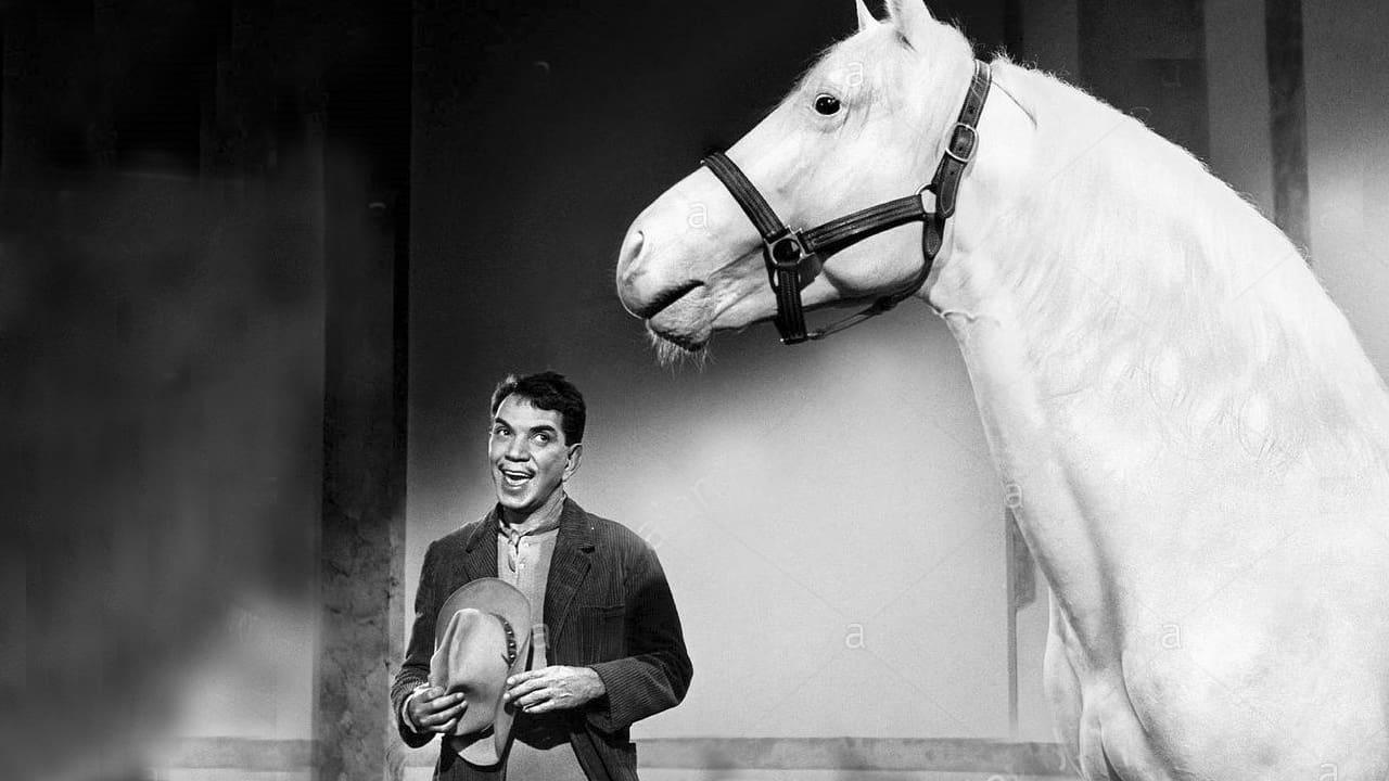 Cinematic background from Pepe 1960 - Mario "Cantinflas" Moreno is a hired hand, Pepe, employed on a ranch. A boozing Hollywood director buys a white stallion that belongs to Pepe's boss. Pepe, determined to get the horse back (as he considers it his family), decides to take off to Hollywood. There he meets film stars including Jimmy Durante, Frank Sinatra, Zsa Zsa Gabór, Bing Crosby, Maurice Chevalier and Jack Lemmon in drag as Daphne from Some Like It Hot. He is also surprised by things that were new in America at the time, such as automatic swinging doors. When he finally reaches the man who bought the horse, he is led to believe there is no hope of getting it back. However, the last scene shows both him and the stallion back at the ranch with several foals.