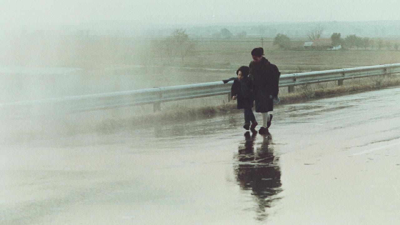 Cinematic background from Landscape in the Mist 1988 - Two Greek children embark on a journey to search for their father, who supposedly live in Germany.
