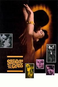 Official poster of Splendor in the Grass 1961 directed by [object Object]