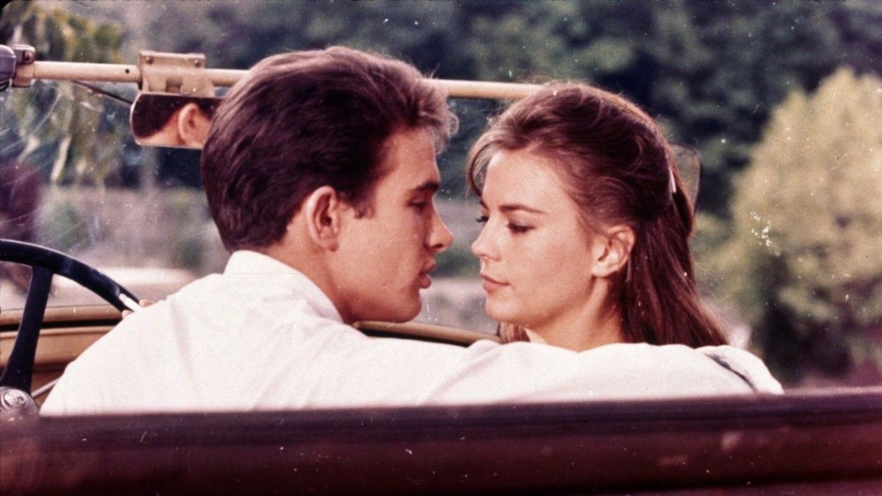 Cinematic background from Splendor in the Grass 1961 - A fragile Kansas girl's unrequited and forbidden love for a handsome young man from the town's most powerful family drives her to heartbreak and madness.