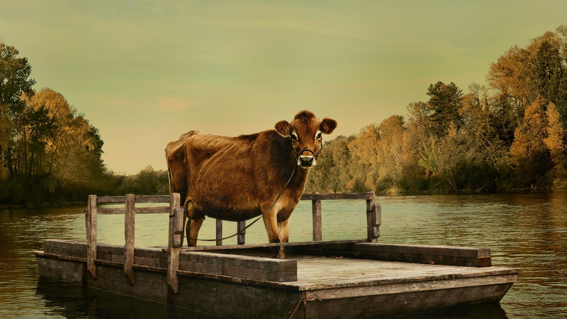Cinematic background from First Cow 2019 - In the 1820s, a taciturn loner and skilled cook travels west to Oregon Territory, where he meets a Chinese immigrant also seeking his fortune. Soon the two team up on a dangerous scheme to steal milk from the wealthy landowner’s prized Jersey cow – the first, and only, in the territory.