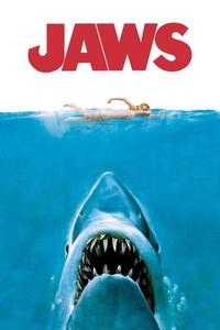 Official poster of Jaws 1975 directed by [object Object]