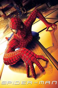 Official poster of Spider-Man 2002 directed by [object Object]