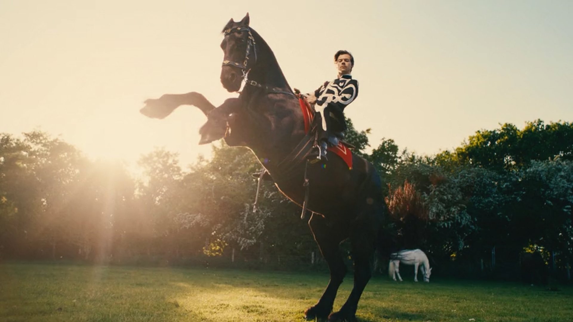 Cinematic background from Harry Styles - Daylight 2023 - null