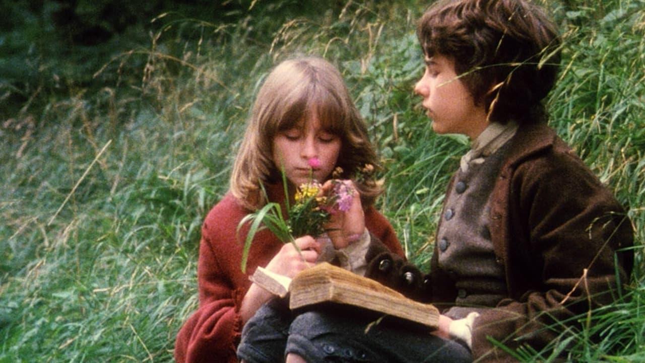 Cinematic background from Black Jack 1979 - In this fascinating adventure of the England of the 1750s, the huge Frenchman Black Jack (Jean Franval) miraculously survives a hanging by the British authorities in Yorkshire and escapes from the grim jaws of "justice." He takes to the countryside in the company of Tolly, a teenaged boy who is able to translate Black Jack's odd speech into something comprehensible. They join up with Belle, an aristocratic teenager who has escaped from the madhouse her family imprisoned her in when she grew troublesome. Together, the three join a carnival. However, as it becomes clear that the girl is far from crazy, love between Tolly and Belle grows. This story, set in the mid-18th century, is based on a novel by Leon Garfield.